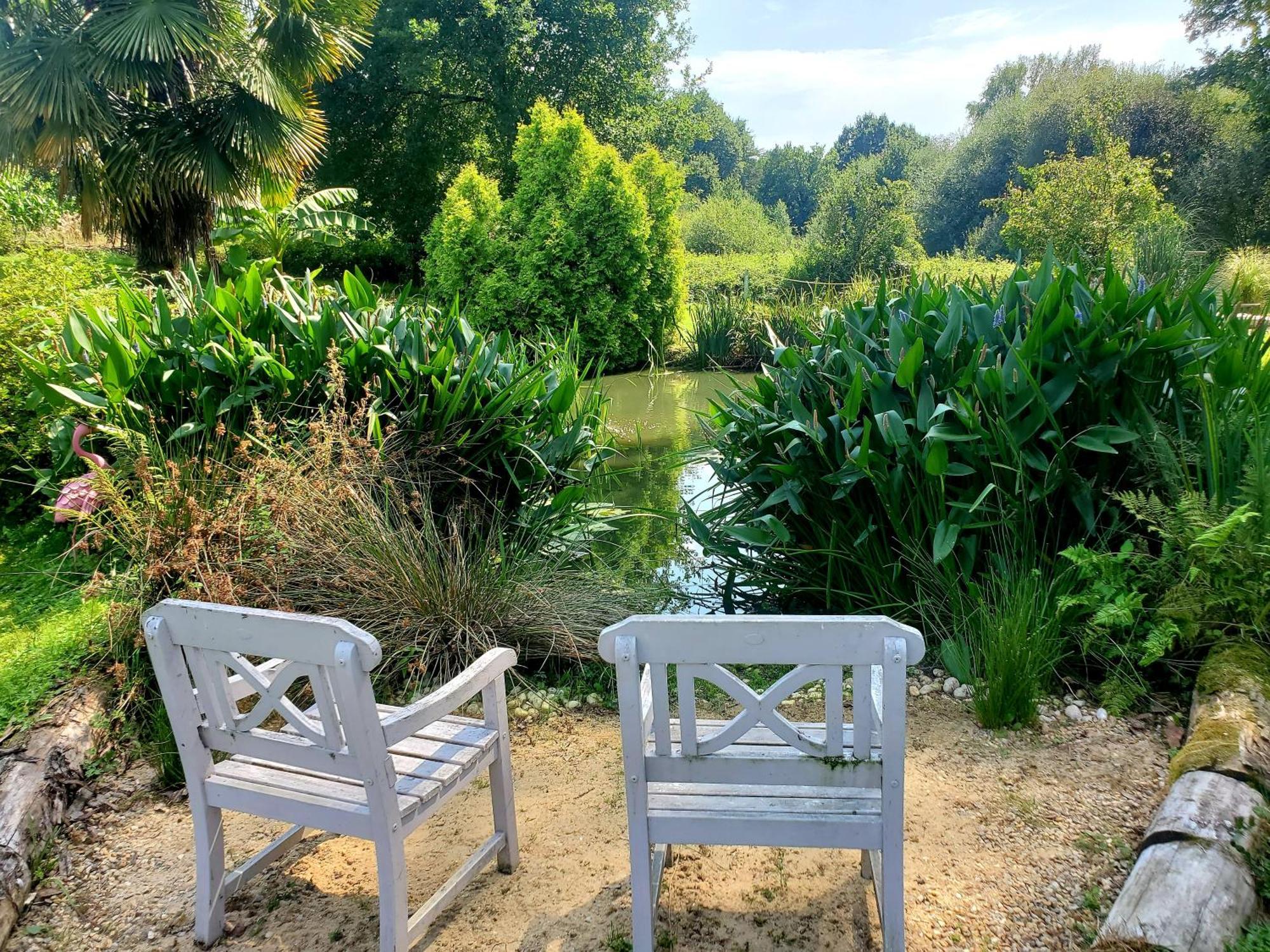 Le Vieux Moulin Gites - Detached Cottage With Garden Views And Pool Guégon Zewnętrze zdjęcie